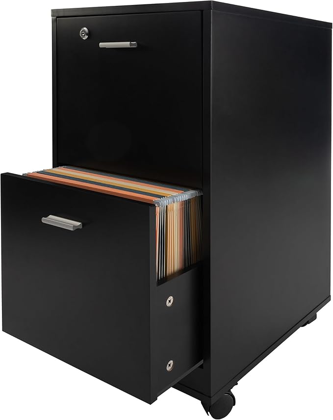 File Cabinet - 2-Drawer Cabinet with Lock and Deep Drawer Storage - Rolling Filing Cabinet for Under The Desk, Home, or Office by Lavish Home (Black)