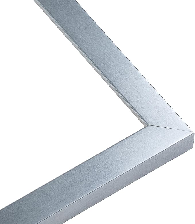 CountryArtHouse Diploma Frame Fits 11 x 14 College Diploma (Portrait) - Keepsake Graduation Display Stainless Silver Genuine Hardwood with Dark Red Over Metallic Gold Double mat