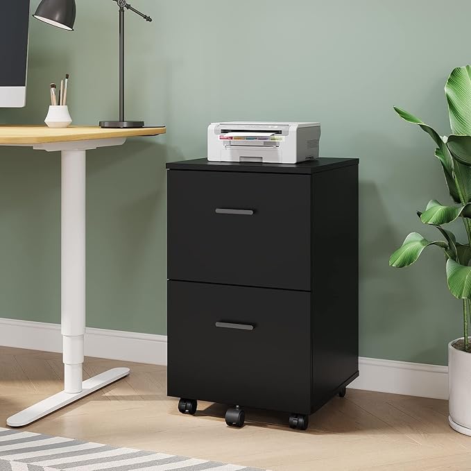 Panana 2 Drawer Mobile File Cabinet, Wood Rolling Filing Cabinet Printer Stand Under Desk Storage Organizer Fits Letter Size File Folders for Home Office (Black)