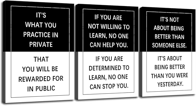 3 Piece Practice Inspirational Poster Entrepreneur quote Motivational Wall Art Canvas Prints Artwork for Office Living Room Modern Home Decor Painting Pictures Stretched and Framed[60''Wx 28''H]
