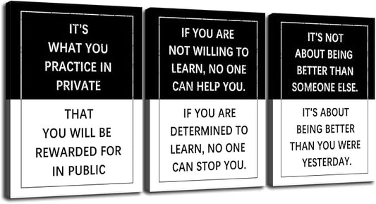 3 Piece Practice Inspirational Poster Entrepreneur quote Motivational Wall Art Canvas Prints Artwork for Office Living Room Modern Home Decor Painting Pictures Stretched and Framed[60''Wx 28''H]