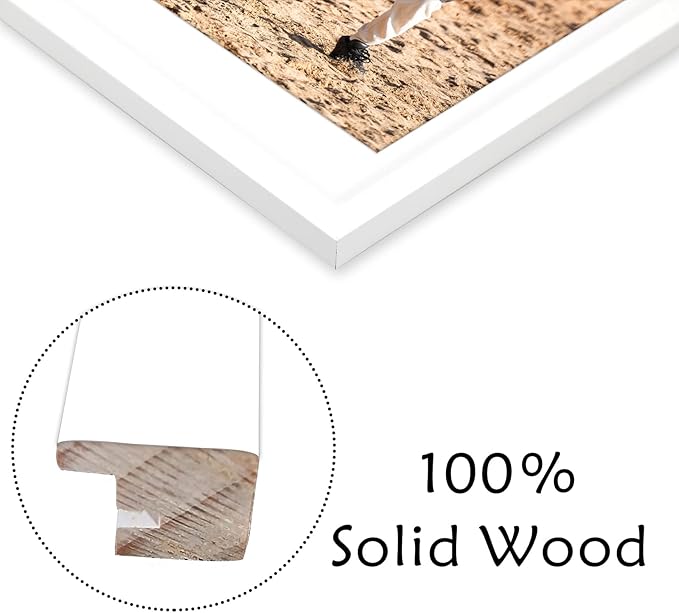 Golden State Art, Set of 2, 14x16 White Wood Picture Frame - White Mat for 8x10 And 4x6 Photos - Tempered Glass, Sawtooth Hanger, Swivel Tabs - Wall Mounting - Great for Gift