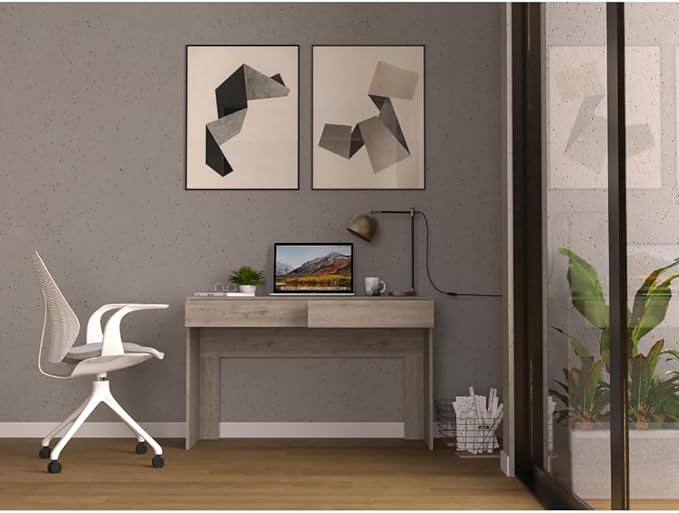 Computer Desk with Two Drawers Writing, Light Gray