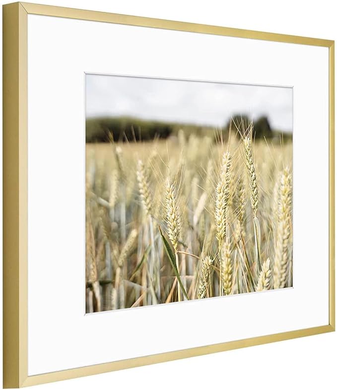 Golden State Art, Gallery Wall Frame Set of 6 - Gold 11x14 Aluminum Photo Frames with Mat for 8x10 Pictures - 11 x 14 inch Metal Frame with Real Glass Cover - Elegant Home or Office Decor