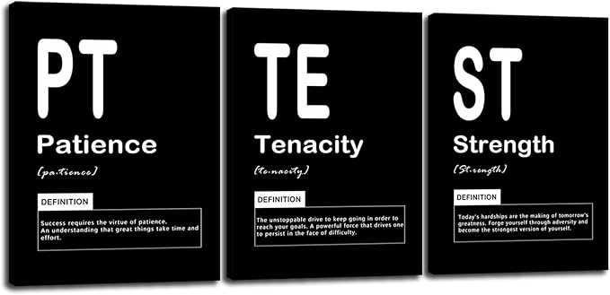 Motivational Office Wall Decor 3 Pieces Inspirational Canvas Wall Art Patience Tenacity Strength Noun Posters Prints Quote Wall Picture Paintings Artwork Modern Home School Framed [36" W X 16" H]
