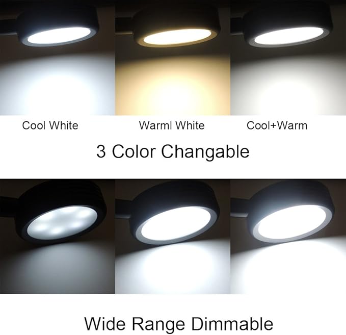 QUANS Dimmable Clip on Clamp LED Gooseneck Desk Light Lamp, Clip-on 3 Color Changeable Reading Lights, C-Clamp Nightlight, USB Port, 3 Color Temperature, Silver