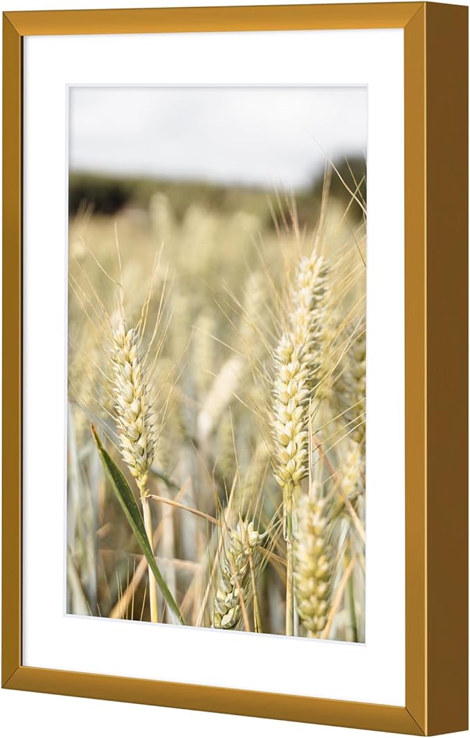 Golden State Art, Gallery Wall Frame Set of 6 - Bronze 6x8 Aluminum Photo Frames with Mat for 5x7 Pictures - 6 x 8 inch Metal Frame with Real Glass Cover - Elegant Home or Office Decor