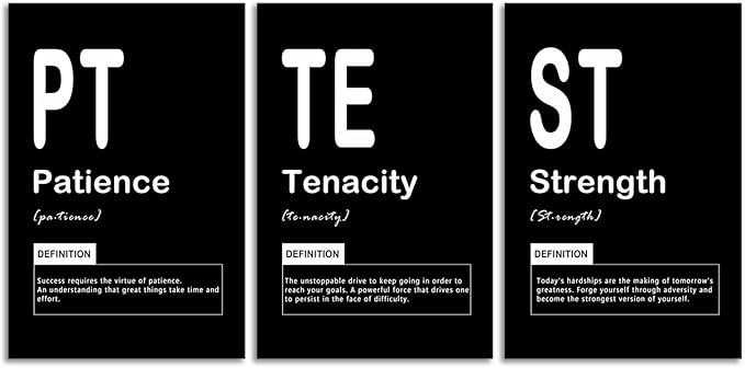 3 Panels Inspirational Canvas Wall Art Motivational Patience Picture Tenacity Strength Noun Painting Entrepreneur Quote Posters Prints Canvas Wall Decor for Office Living Room Framed [48" W X 24" H]