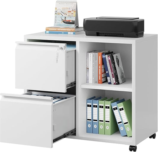 DEVAISE Lateral File Cabinet, 2 Drawer Filing Cabinets with Lock & Wheels Fits Letter/A4 Size for Home Office, Printer Stand with Adjustable Shelf (Metal, White)