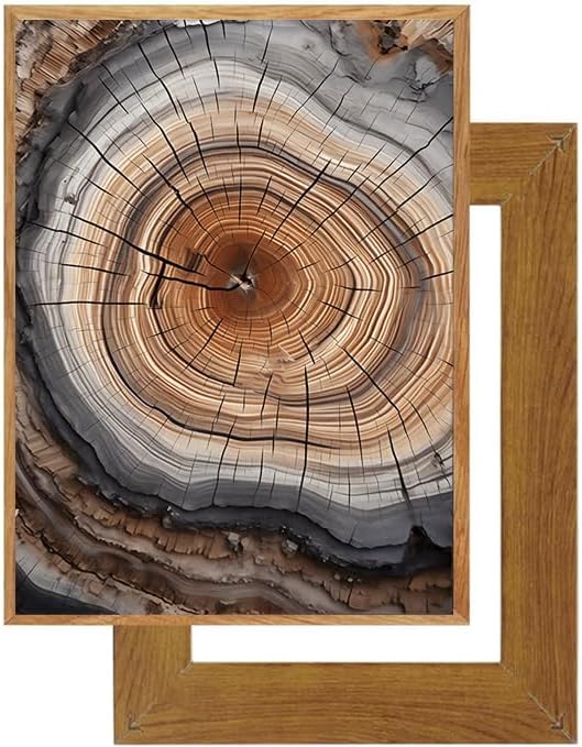 IBHJSART Framed Tree Ring Canvas Wall Art Vintage Colorful Wood Stump Painting Prints Modern Minimalist Pictures Neutral Nature Rustic Farmhouse Decor Living Room Bedroom Bathroom Office