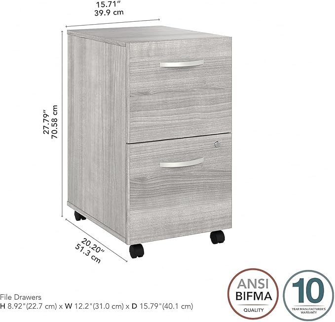 Bush Business Furniture Hybrid 2 Drawer Mobile File Cabinet-Assembled, Platinum Gray