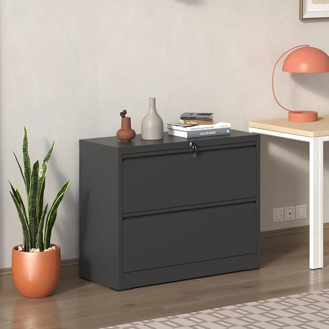 2 Drawer Lateral File Cabinet with Lock for Home Office Metal Filing Cabinet with Adjustable Hanging Bars Horizontal Filing Organization Storage Cabinet for Letter/Legal/A4/F4 Size Black