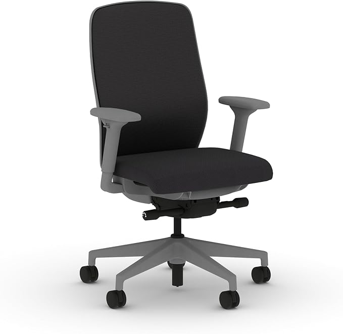 HON Nucleus Task Chair, Spectrum Mesh, Advanced Synchro-Tilt Control, Office Chair with Lumbar Support, Height and Width Adjustable Arms, Titanium Frame, Onyx