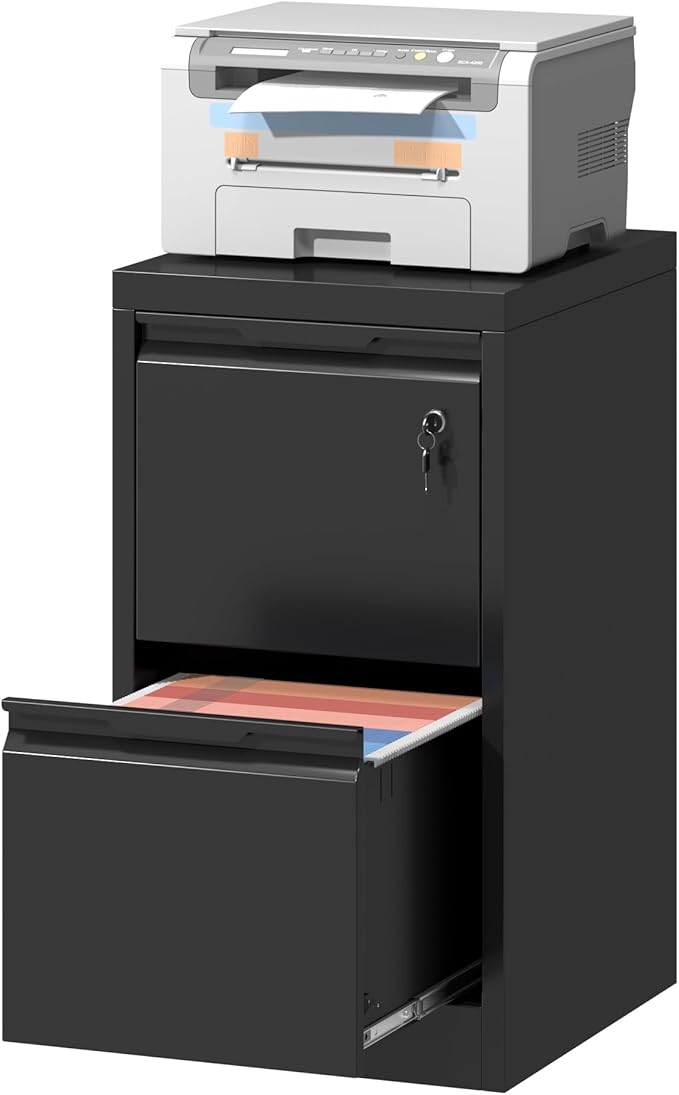 2 Drawer File Cabinet with Lock,Black Metal Filing Cabinets,Steel Vertical Fit Hanging Files, Letter,File Box and A4 Documents-Assembly Require