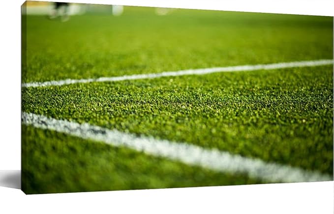 TIGTMULERLY Wall Art Frame Gallery Wall Decor Soccer pitch Modern Canvas Prints Artwork for Living Room Bedroom Office Kitchen 48x24Inch
