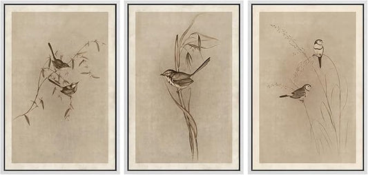 MUDECOR Framed Wall Art Print Set Vintage Bird Wheat Ear Illustrations Modern Art Boho Decorative Colorful Chic for Living Room, Bedroom, Office - 24"x36"x3 White