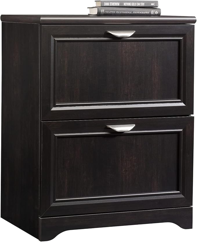 Realspace® Magellan 23-1/2"W x 16-9/16"D Lateral 2-Drawer File Cabinet, Espresso