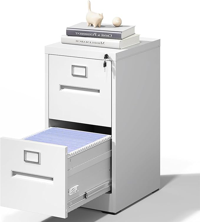 2 Drawer File Cabinet with Lock and Card Slot, Steel Vertical Filing Cabinets for Home Office, Small Metal File Cabinets for Hanging Legal Letter Size Files, Assembly Required(White)
