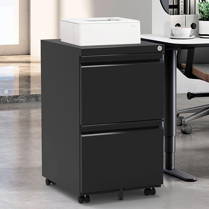 2 Drawer Mobile File Cabinet with Lock,Rolling File Cabinet, Under Desk Mobile Filing Cabinet,File Cabinets for Home Office,Storage 2 Drawer Mobil Filing Cabinet for A4/Legal/Letter,Balck
