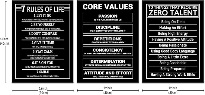 Inspirational Painting Wall Art 3 Pieces Canvas Print Office Wall Decor Poster Inspiring Ten Things That Require Zero Talent Pictures Print Artwork for Bedroom Gym Office Framed [36''Wx 16''H]