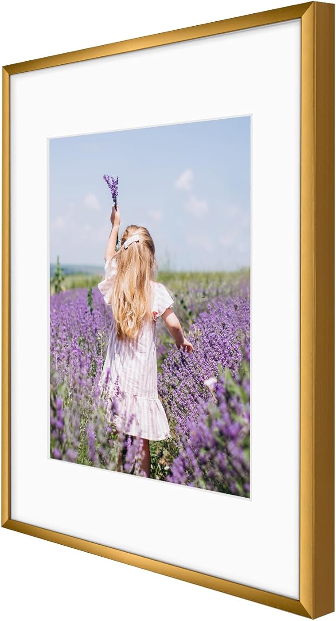 Golden State Art, Gallery Wall Frame Set of 6 - Bronze 11x14 Aluminum Photo Frames with Mat for 8x10 Pictures - 11 x 14 inch Metal Frame with Real Glass Cover - Elegant Home or Office Decor