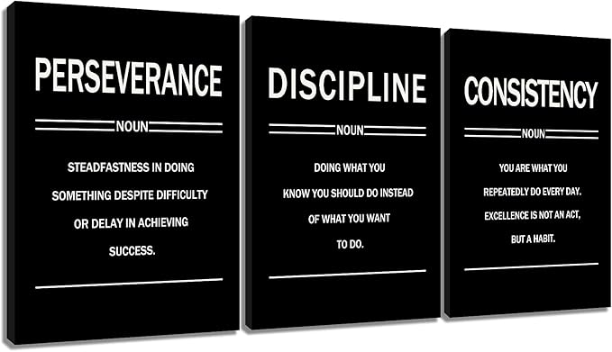 3 Pieces Motivational Posters Wall Decor Perseverance Discipline Consistency Inspirational Office Gym Positive Theme Picture Print for Living Room Workplace Stretched and Framed [60''W x 28''H]