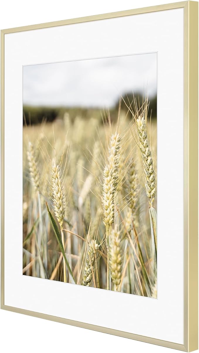 Golden State Art, Gallery Wall Frame Set of 6 - Gold 14x18 Aluminum Photo Frames with Mat for 11x14 Pictures - 14 x 18 inch Metal Frame with Real Glass Cover - Elegant Home or Office Decor