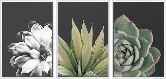 SIGNWIN Framed Wall Art Print Set Echeveria Succulent Variety Nature Plants Photography Modern Art Closeup Relax/Calm Dark Black and White for Living Room, Bedroom, Office - 24"x36"x3 White