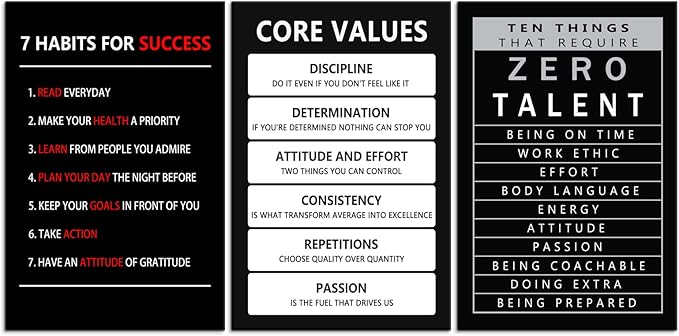 Inspirational Canvas Core Values Wall Art 3 Pieces Poster Motivational Ten Things That Require Zero Talent Canvas Artwork Picture Print Framed for Home Office Living Room Gym Wall Decor [48''Wx 24''H]