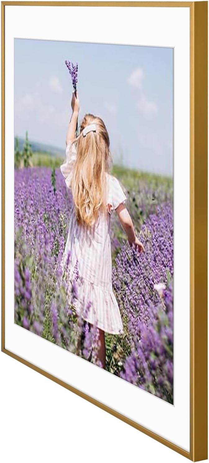 Golden State Art, Gallery Wall Frame Set of 6 - Bronze 18x24 Aluminum Photo Frames with Mat for 16x20 Pictures - 18 x 24 inch Metal Frame with Real Glass Cover - Elegant Home or Office Decor