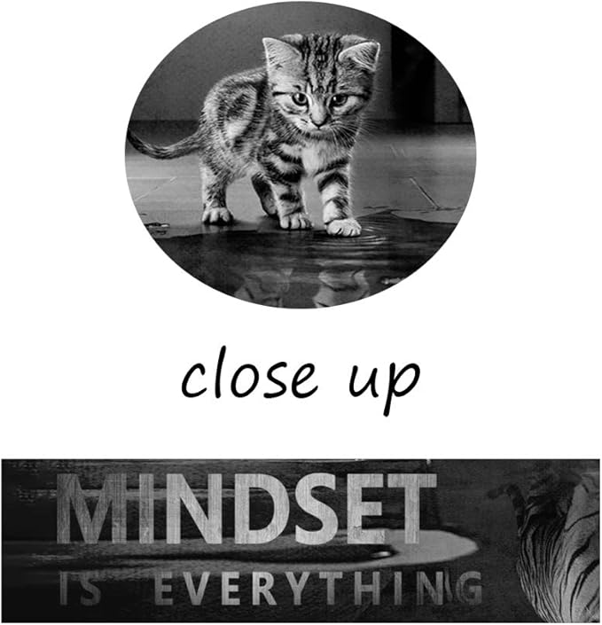 Mindset is Everything Wall Art Funny Inspirational Canvas Pictures Motivational Posters Inspiring Mindset Quotes Wall Painting Print Artwork Home Decor for Office Teens Framed Ready to Hang(36"Wx16"H)