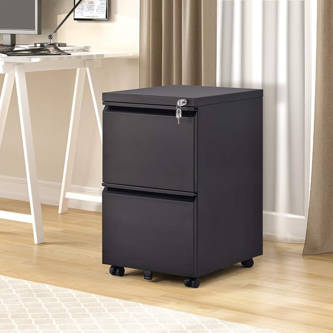 File Cabinet 2-Drawer Office Metal Pedestal Mobile File Organizer with Lock for Filing Supplies Storage, Use for Home Office and Enterprise, Fully Assembled (Black)