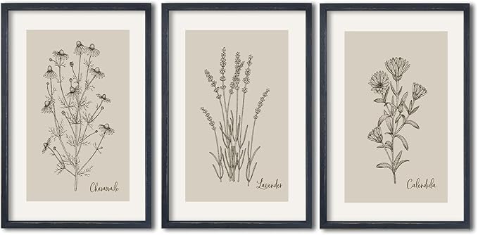 TQianJiang Set Of 3 Framed Vintage Botanical Prints Wall Art 16"×11" Wildflower Pictures Wall Decor for Bedroom Bathroom Living Room Minimalist Line Drawing Neutral Tones Wall Hanging (Black)