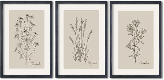 TQianJiang Set Of 3 Framed Vintage Botanical Prints Wall Art 16"×11" Wildflower Pictures Wall Decor for Bedroom Bathroom Living Room Minimalist Line Drawing Neutral Tones Wall Hanging (Black)