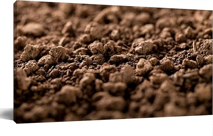 TIGTMULERLY Wall Art Frame Gallery Wall Decor Soil Modern Canvas Prints Artwork for Living Room Bedroom Office Kitchen 48x24Inch