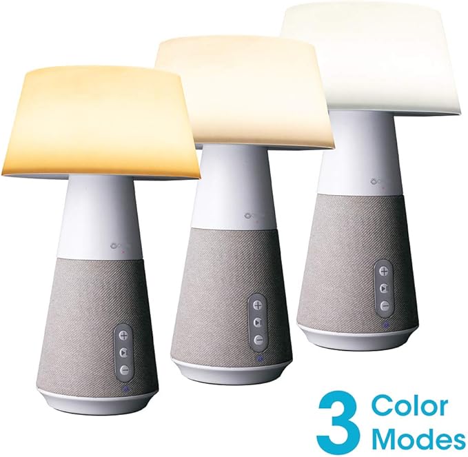 OttLite Entertain LED Speaker Lamp
