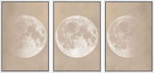 SIGNWIN Framed Canvas Print Wall Art Full Moon Minimalist Beige and Black Toned Lunar Nature Wilderness Modern Art Cool for Living Room, Bedroom, Office - 24"x36"x3 White