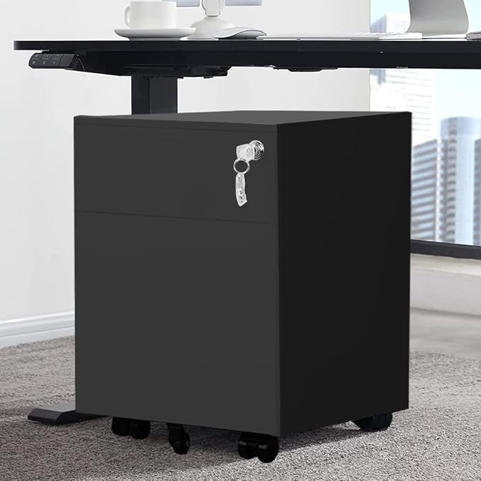 2 Drawer Mobile File Cabinet for Storage Under Desk in Home Office, Mobile File Cabinet, Metal File Cabinet with Lock, Legal/Letter /A4/F4 Size, Fully Assembled, Including Wheels, Black