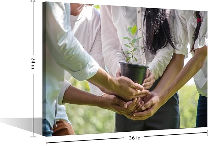 Large Wall Art A Group Of People Holding Potted Plants In The Park Teamwork Concept Pictures Modern Decor Poster Canvas Art Wall Decor for Office Framed 1 Panel (24" Wx36 H)