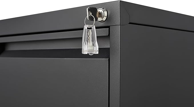 4 Drawer Filing Cabinet,Metal Vertical Filing Cabinets with Lock for Home Office,Heavy Duty File Storage Cabinet for Letter/Legal/A4/F4 Size File