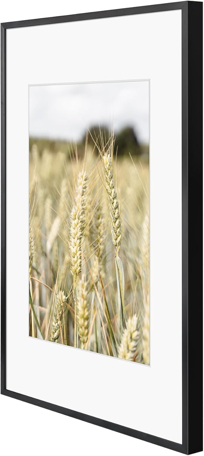 Golden State Art 11x17 Picture Frame 6 Pack - Classic Black Aluminum Photo Frames With 8x12 Mats and Real Glass Cover - Elegant Minimalist Wall Gallery Frames for Home or Office Decor