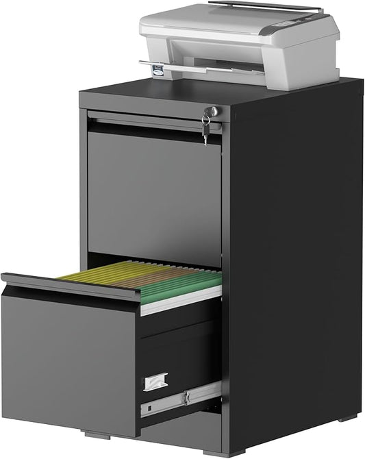 2 Drawer File Cabinet with Lock, File Cabinet, Steel Vertical Filing Cabinets for Home Office, Heavy Duty File Storage Cabinet for Legal/Letter/A4 Documents, Easy to Assemble, Black