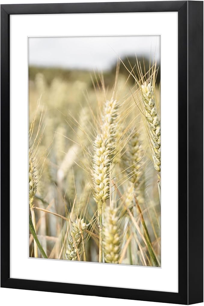 Golden State Art, Gallery Wall Frame Set of 6 - Black 6x8 Aluminum Photo Frames with Mat for 5x7 Pictures - 6 x 8 inch Metal Frame with Real Glass Cover - Elegant Home or Office Decor