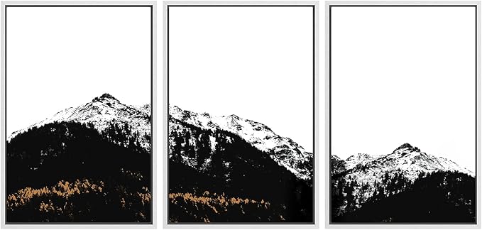 SIGNWIN 3 Piece Framed Canvas Wall Art Black and White Mountain Tops Photo Nature Wilderness Illustrations Abstract Traditional Home Artwork Decoration for Living Room,Bedroom - 16"x24"x3 White