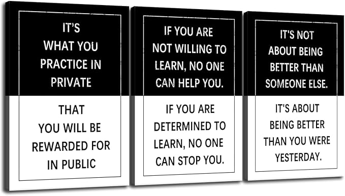 Inspirational Poster for Office 3 Piece Practice Entrepreneur quote Motivational Wall Art Canvas Prints Artwork for Living Room Modern Home Decor Painting Pictures Stretched and Framed[72''Wx 36''H]