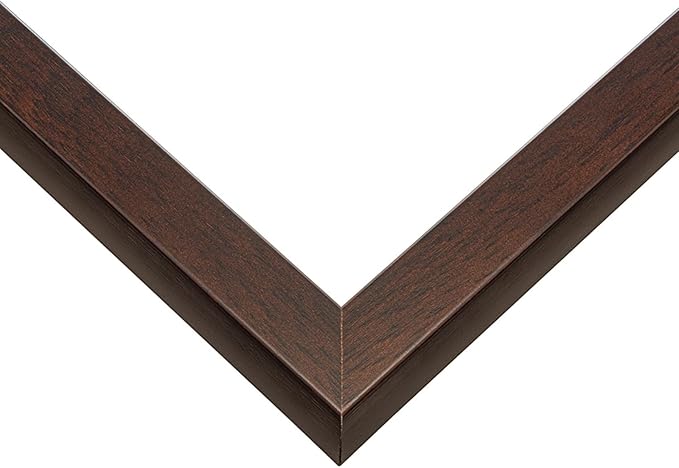 Diploma Tassel and Photo Frame Rustic Walnut Shadowbox Oyster Shell Over Gold Mat - Fits 8.5 x 11 Degree Picture Made in the USA