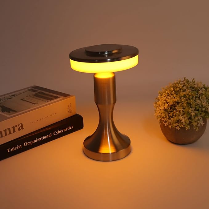 3W LED Table Lamp, 3 Color Temperatures Dimmable Rechargeable Cordless Desk Lamp, Portable Bedside Lamp with Touch Sensor for Dining Room (Silver)