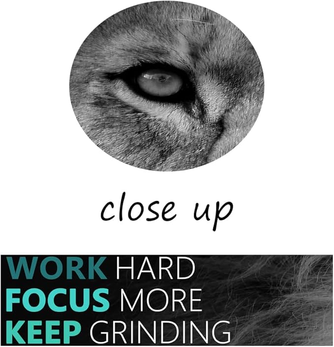 Motivational Canvas Wall Art Lion 3 Pieces Poster Inspirational Positive Wall Art Quotes Success Canvas Artwork Picture Print Framed for Home Office Living Room Gym Wall Decor [60''Wx 28''H]
