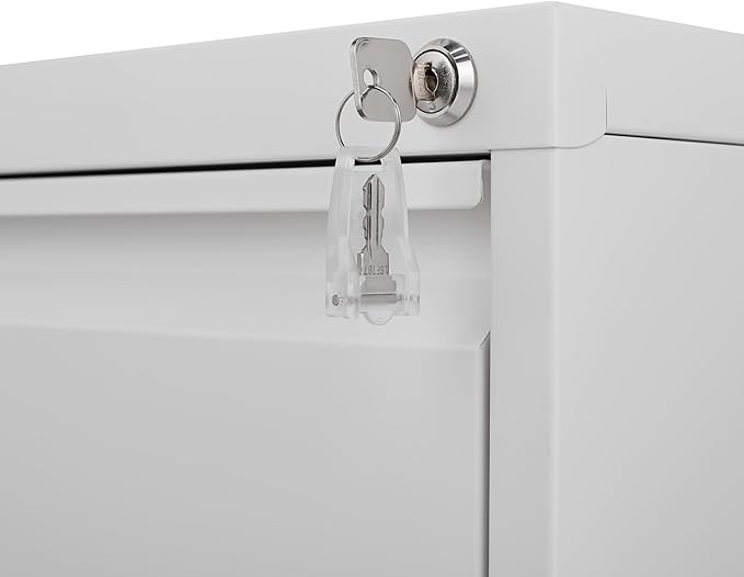 4 Drawer Filing Cabinet,Metal Vertical Filing Cabinets with Lock for Home Office,Heavy Duty File Storage Cabinet for Letter/Legal/A4/F4 Size File