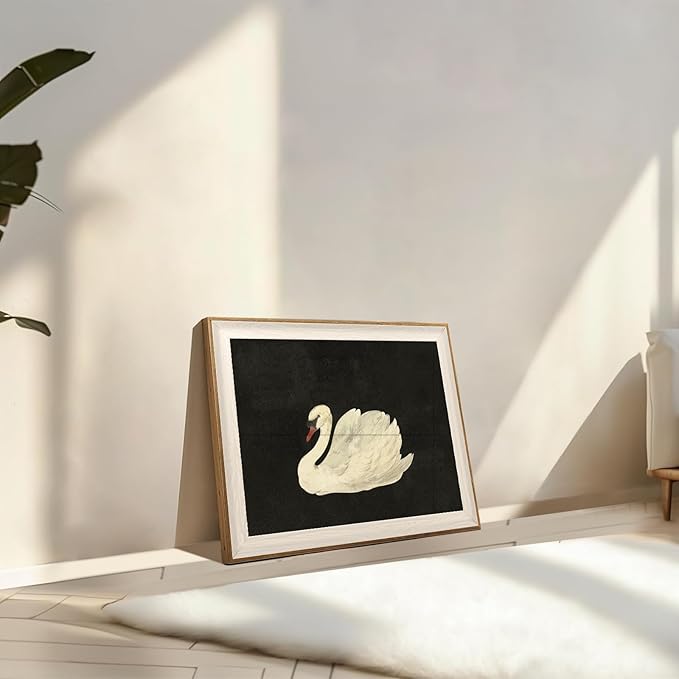 ASTRDECOR Vintage Framed Wall Art for Living Room, Vintage Swan Canvas Oil Painting for Bathroom Wall Decor, Classical Animal Framed Art for Home Decor Aesthetic, Zwaan Black and White Wall Art Prints for Bedroom Decor-12''x16''